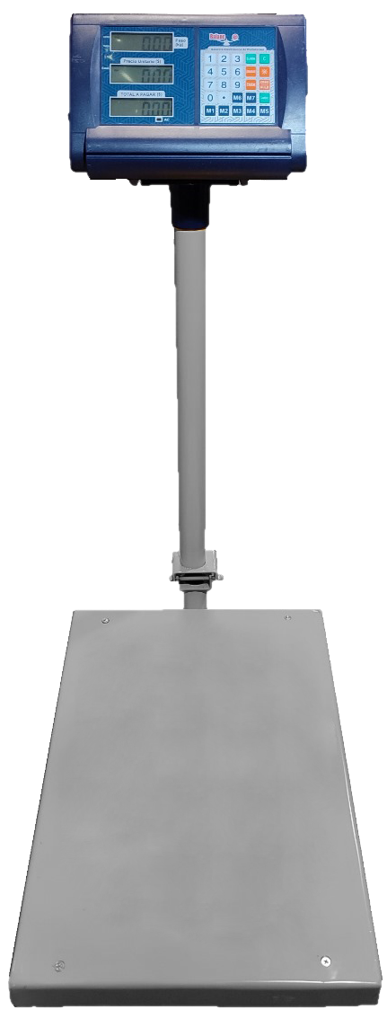 Báscula De Plataforma Peso Precio 600 Kg